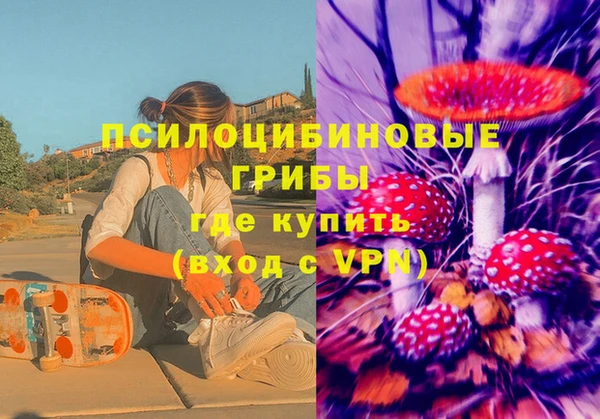 дмт Баксан