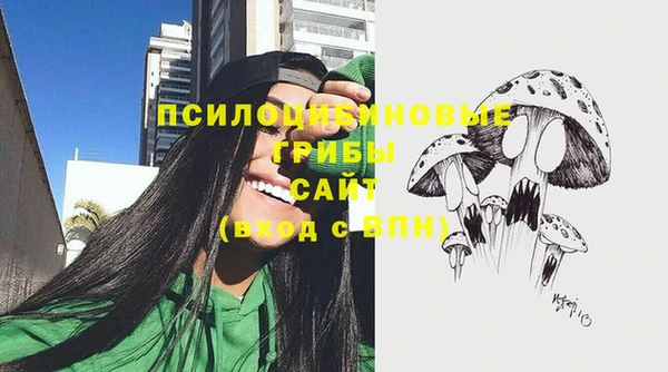 spice Балабаново