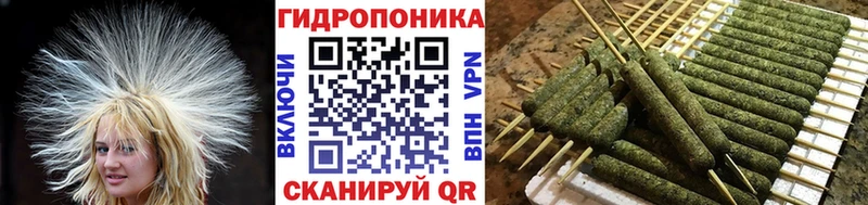 mega зеркало  Новоузенск  Марихуана марихуана 